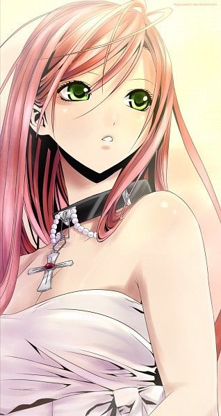 Rosario Vampire Moka, Moka Akashiya, Rosario Vampire Anime, Kono Oto Tomare, Pink Anime, Rosario Vampire, A Mansion, Next Top Model, Red Door