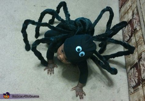 Spider Crawling, Spider Halloween Costume, 2017 Halloween Costumes, Diy Baby Costumes, Scared Of Spiders, Diy Spider, Spider Baby, Spider Costume, Spider Legs