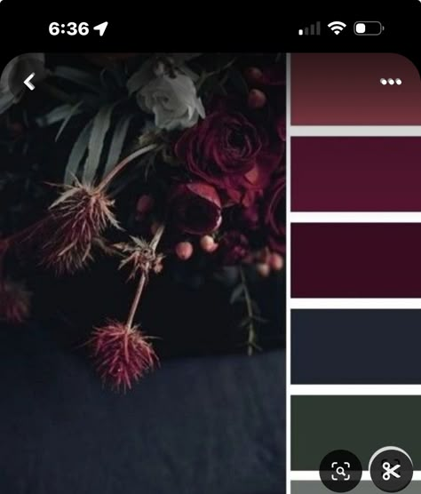 Dark Wedding Colour Palettes, Dark Acedamia Color Pallet, Jeweled Color Palette, Dark Hunter Green Color Palette, Feminine Bedroom Ideas Colour Schemes, Dusk Color Palette Wedding, Cool Toned Wedding Colour Palettes, Moody Pallete Color, Colors That Go With Wine Red