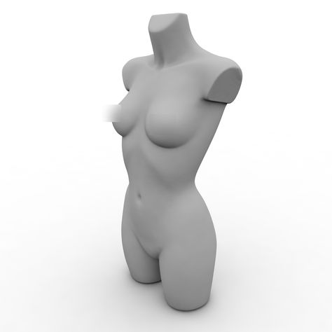 Modelo de torso de maniquíes femeninos 3d. llllline Mannequin Parts, Mannequin Torso, Body Shape Drawing, Female Mannequin, Dress Forms, Print Models, 3d Characters, Store Display, Window Display