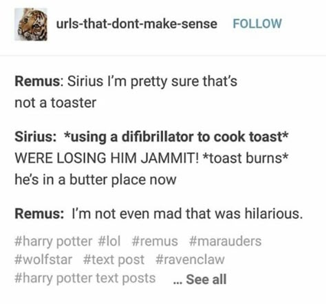 Marauders Memes Hilarious, Marauders Memes Funny, Marauders Headcanons, Harry Potter Painting, Harry Potter Memes Hilarious, Gay Harry Potter, Harry Potter Feels, Harry Potter Ships, Harry Potter Tumblr