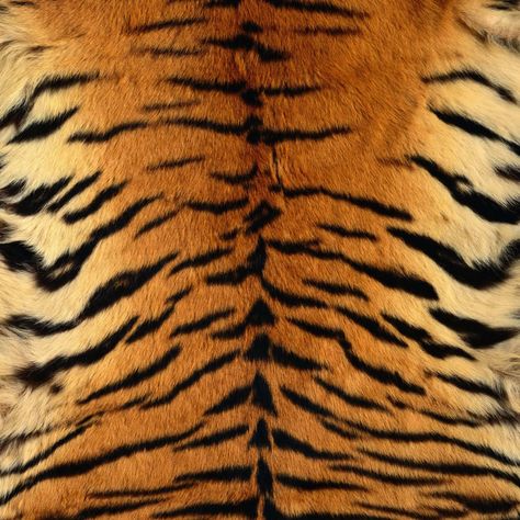 TIGER FUR  Tiger striped fur print. Tiger Skin, Stripes, Skin, Pattern, Black