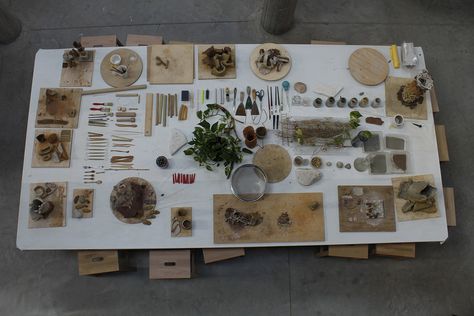 Reggio Children - In the Shape of Clay Atelier Reggio Atelier, Nature Based Classroom, Early Childhood Education Classroom, Reggio Children, Atelier Ideas, Reggio Emilia Approach, Reggio Emilia Inspired, Reggio Classroom, Farm Preschool