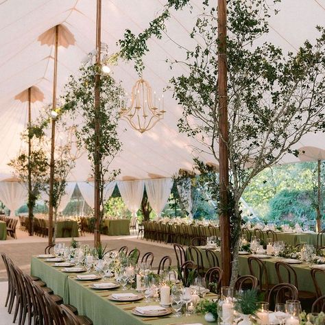 Sperry Tent Wedding, Marquee Decoration, Cocktail Hour Decor, Outdoor Wedding Backdrops, Wedding Tent Decorations, Luxe Wedding Decor, Tent Wedding Reception, Candlelit Wedding, Tent Decorations