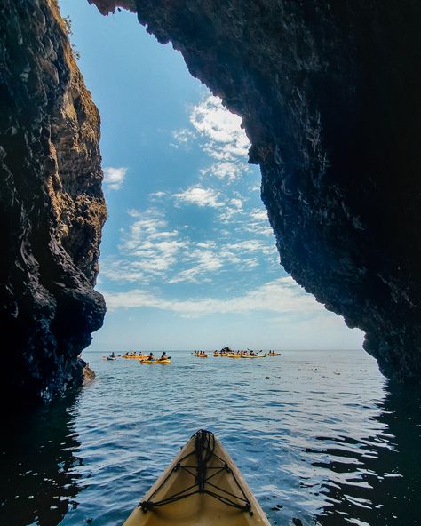 Kayak Tours - Channel Islands Adventure Company | Kayaking & Snorkel Best Kayaking In The Us, Hawaii Kayaking, Kayak Grand Canyon, Kayaking New Zealand, Cousins Trip, Channel Islands California, Pinnacles National Park, Park Project, Channel Islands National Park