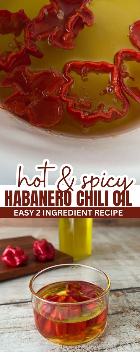 Red Habanero Recipes, Spicy Oil Recipe, Habanero Sauce Recipe, Habanero Recipes, Habanero Chili, Clean Eating Grocery List, Rustic Recipes, Healthy Recipes On A Budget, Inexpensive Meals