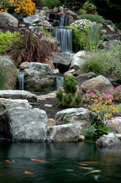 NY-Water Features & Garden Fish Pond Ideas For Your Backyard - Rochester New York - Acorn Ponds & Waterfalls Ponds Ideas, Waterfall Landscaping, Backyard Waterfall, Fish Pond Gardens, Outdoor Waterfalls, Kolam Koi, Taman Air, Garden Pond Design, Garden Waterfall