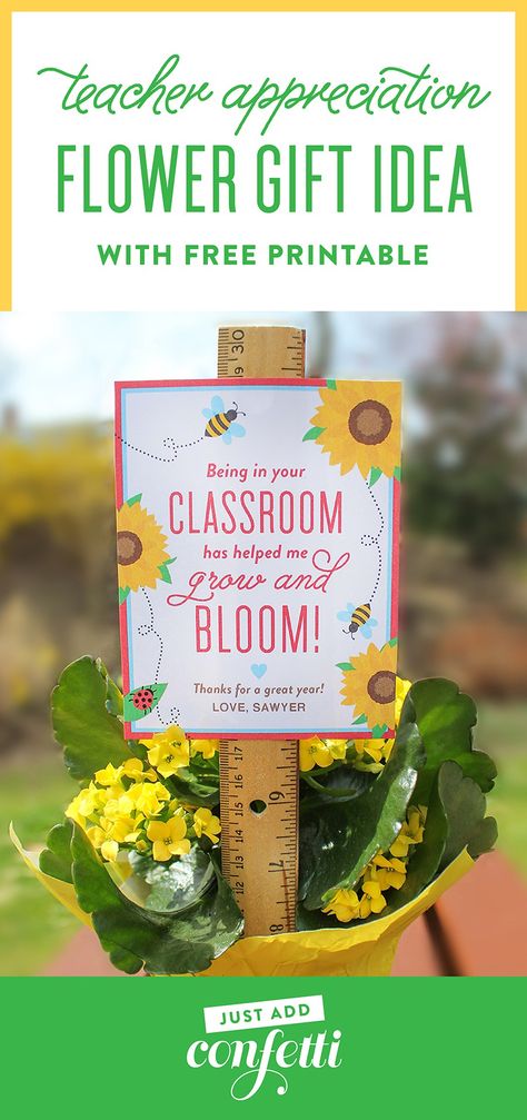 "Bloom in your Classroom" Flower Teacher Gift Idea, teacher appreciation, flower gift, free printable, teacher gift, flower for teacher, Just Add Confetti, Just Add Confetti printable, Being in your classroom has helped me grow and bloom, grow and bloom, bloom in your classroom, end of the school year gift, spring gift, spring flower Flower Teacher Gift, Teachers Appreciation Week Gifts, Teacher End Of Year, Appreciation Gifts Diy, Unique Teachers Gift, Teacher Appreciation Gifts Diy, Preschool Teacher Gifts, Teacher Gift Tags, Teachers Diy