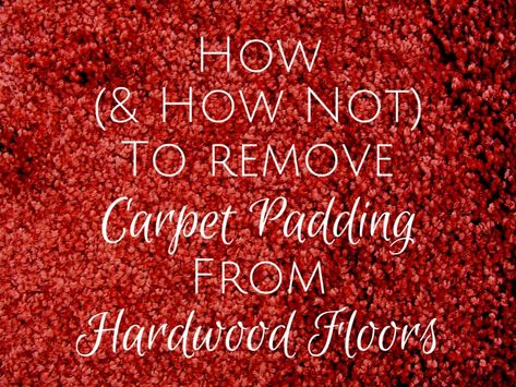 How To Remove Carpet, Cheap Hardwood Floors, Remove Carpet, Removing Carpet, Hardwood Floor Cleaner, Dream Ideas, Cleaning Painted Walls, Cheap Carpet, Glass Cooktop