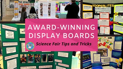 Learn how to create a professional looking science fair board before. We will show the supplies, layout, and tips for wowing the judges! Science Project Layout, How To Make A Science Fair Display Board, Science Fair Poster Ideas, Science Fair Display Board Ideas, Aesthetic Science Fair Board, Science Board Ideas, Science Fair Board Ideas, Science Fair Board Layout, Science Fair Boards