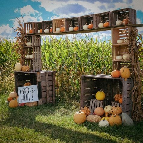 Corn Maze Halloween Decorations, Corn Festival Decor, Farm Photo Op Board, Hay And Pumpkin Display, Pumpkin Festival Decorations, Pumpkin Patch Display Ideas, Diy Corn Maze, Fall Festival Decorations Outdoor, Fall Farm Activities