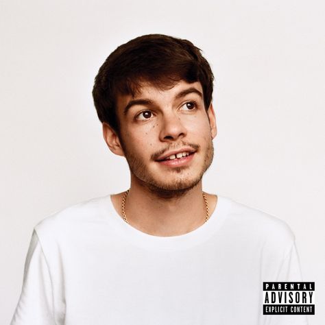 Rex Orange County, Rex Orange, Jackie Gleason, Cool Album Covers, Desain Editorial, Music Album Covers, Indie Pop, Music Album Cover, Sony Music Entertainment