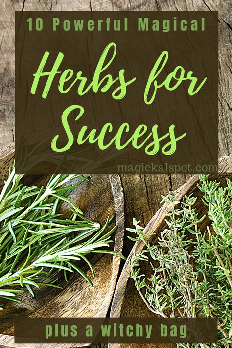 In this article, we'll learn more about 10 Most Powerful Magical Herbs for Success. We also included a few interesting practical tips! Herbs For Success, Witchy Bag, Herbs For Protection, African Herbs, Magickal Herbs, Plant Magic, Luck Spells, Healing Garden, Magic Herbs