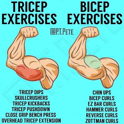 Workout Ideas on Instagram: “💪How to Build Bigger Arms by @p.t.pete 💪” Reverse Curls, Overhead Tricep Extension, Tricep Pushdown, Big Arms, Tricep Kickback, Getting Stronger, How To Get Bigger, Bigger Arms, Tricep Extension