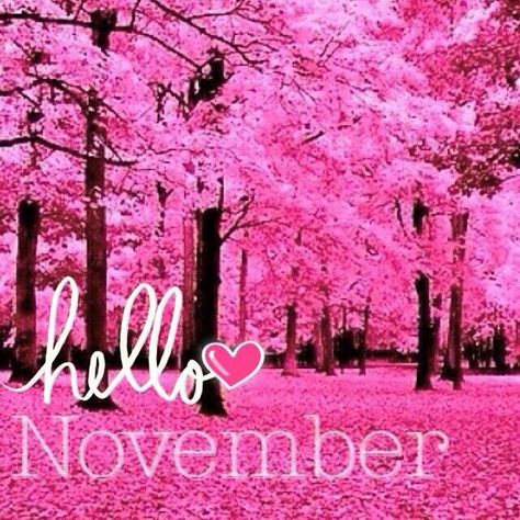 Nov Love <3 November Pictures, November Images, November Events, New Month Quotes, Welcome November, November Quotes, November Wallpaper, November Activities, Sweet November