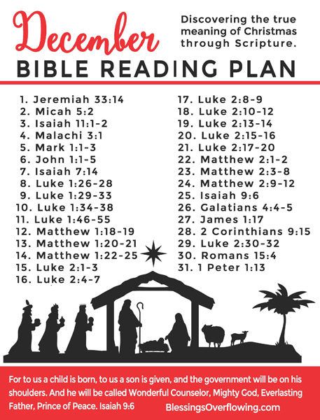 December Bible Reading Plan (Discovering the True Meaning of Christmas Through Scripture) December Bible Reading Plan, Christmas Bible Reading Plan, Bible Writing, The True Meaning Of Christmas, Christmas Scripture, Scripture Writing Plans, Scripture Writing, Writing Plan, Christmas Bible