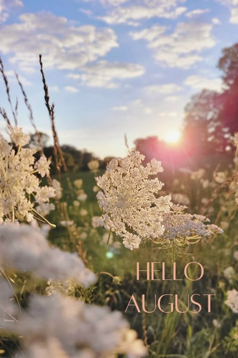 Hello August Images, August Weather, August Pictures, August Images, Neuer Monat, August Wallpaper, August Flowers, August Summer, Coastal Wallpaper