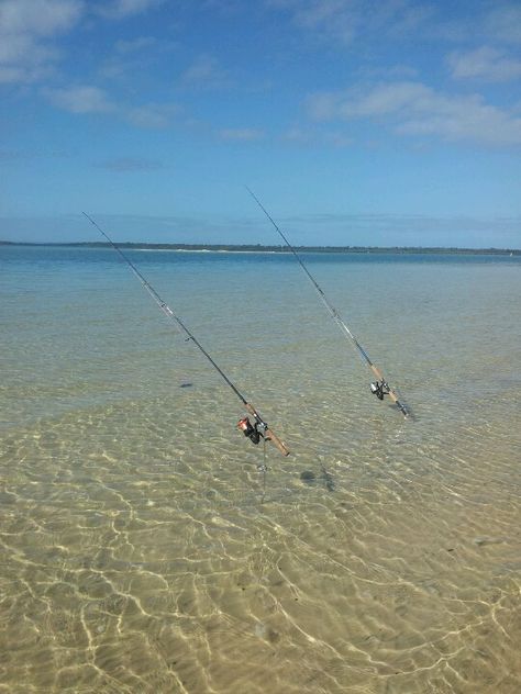 Fishing Fishing Pics, Salt Water Fishing, 2024 Wishlist, Image Film, Salty Dog, Pier Fishing, Beach Living, Salt Life, Gone Fishing