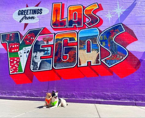 Pet-Friendly travel in Las Vegas | Colorful travels | Las Vegas Murals | Photoshoot Locations in Las Vegas Postcard Mural, Las Vegas Arts District, Vegas Arts District, Vegas Postcard, Vegas Design, Las Vegas Trip, Saved Pins, Arts District, Pitch Deck