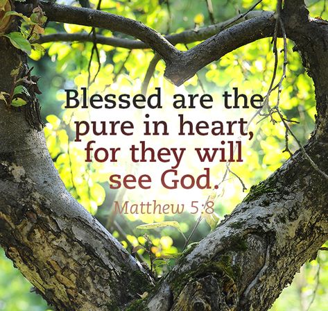 Christian Fall, Gospel Quotes, Kids Ministry, Beautiful Bible Verses, Inspirational Verses, Prayer Verses, Prayer Scriptures, Bible Verses Quotes Inspirational, Bible Quotes Prayer