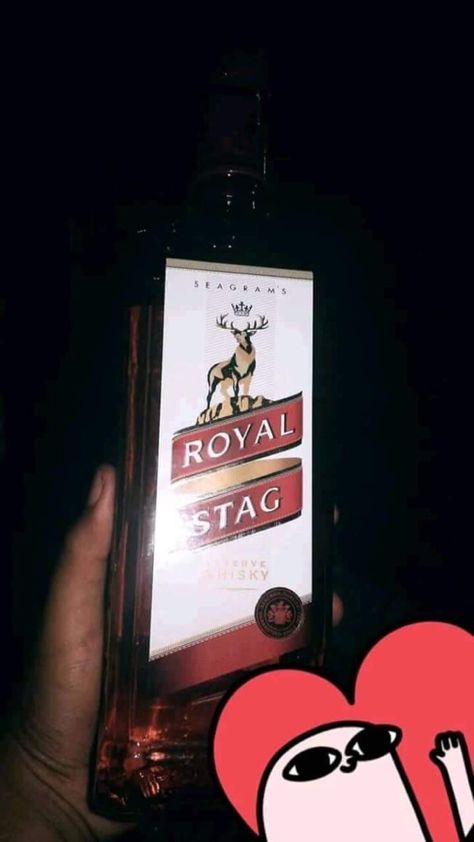 Royal Stag, Couple Images, Cute Love Couple Images, Cute Love Couple, Love Couple, Cute Love, Quick Saves