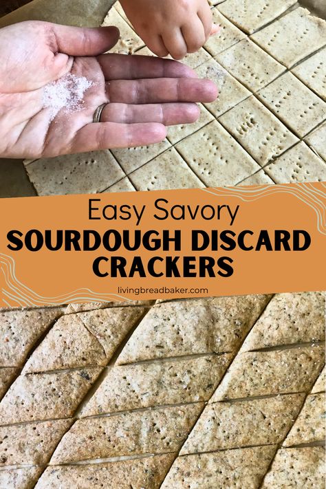 Savory Sourdough Discard Crackers is the best first discard recipe for new sourdough bakers. Sourdough Beginners, Sourdough Discard Crackers, Discard Crackers, Sourdough Crackers, Graham Cracker Recipes, Discard Recipe, Crackers Recipe, Mexican Seasoning, Whole Grain Flour