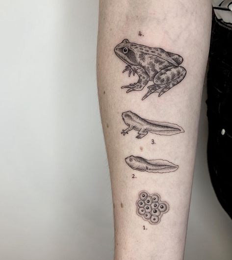 Biology Tattoo, Ephemeral Tattoo, Science Tattoos, Phönix Tattoo, Surreal Tattoo, Kunst Tattoos, Frog Tattoos, Handpoke Tattoo, Initial Tattoo