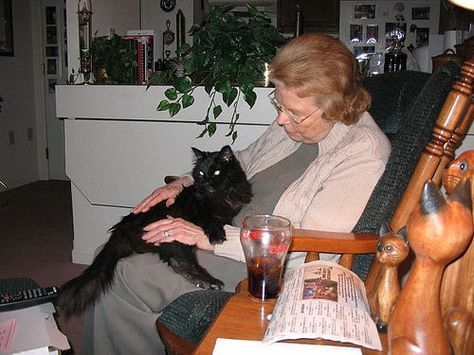 Grandma and cat Smokey, by hedgeman via Flickr. Judging Cat, Cat Grandma, 60 Year Old Woman, Key Visual, Grandma Core, Cat People, My Grandmother, Old People, Women Life