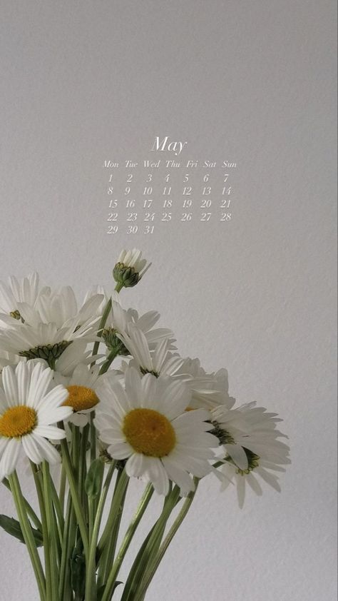 Wallpaper, monthly, calender, may, monday, ipad, iphone Month May Wallpaper, May Calander, May Calendar Wallpaper, Monthly Wallpapers, Paper Ipad, Ipad Backgrounds, Air Wallpaper, Calendula Flowers, Ipad Air Wallpaper