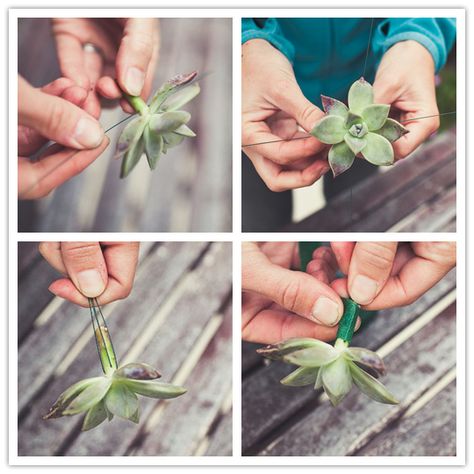 Diy Boutonniere, Succulent Boutonniere, Desert Bloom, Groomsmen Boutonniere, Succulent Bouquet, Succulent Wedding, Diy Wedding Flowers, Boutonniere Wedding, Do It Yourself Projects