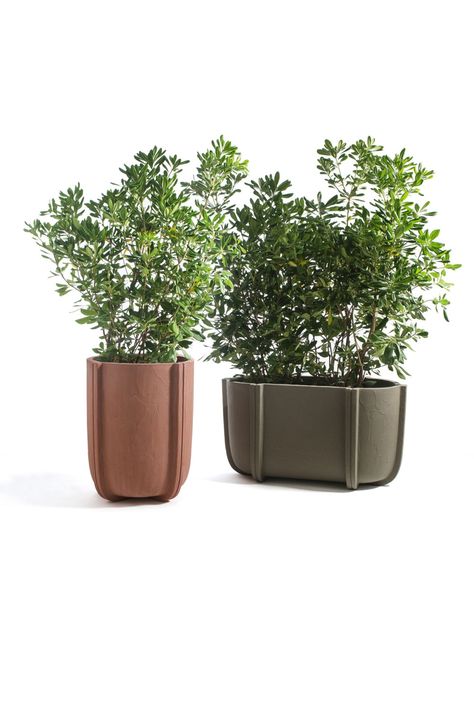 The Cassero collection, designed by Patricia Urquiola for Serralunga, is inspired by the moulds used in the concrete construction industry. This collection of one-piece planters made from lightweight polyethylene have a hand cast cement texture, as if they have been cast from the mould and appearing to have a solid concrete structure. #italianfurniture #potplant #planterpots Landscape Planters, Outside Planters, Outdoor Vases, Cement Texture, Modern Pot, Gardening 101, Interior Plants, Patricia Urquiola, Work Place