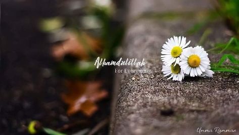 Islam Cover Photo, Islamic Youtube Cover Photo, Girly Cover Photos Facebook, Beautiful Cover Photos Facebook, Islamic Cover Photo Facebook, Facebook Profile Picture Image, Islamic Cover Photo, Cover Photos For Fb, Fb Cover Design