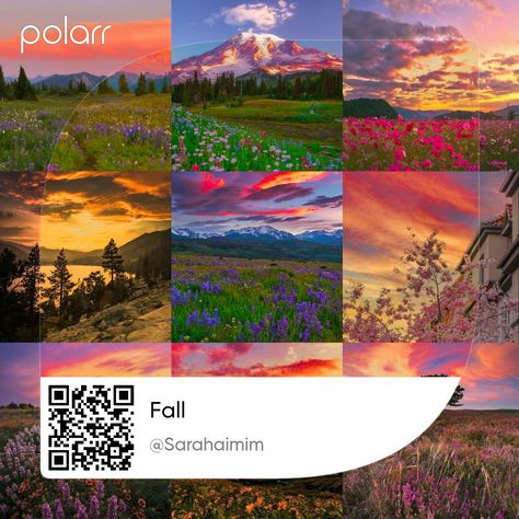 Polarr Presets, Photo Filter, Filter, Quick Saves