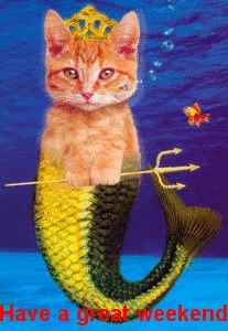 merkitty or is it a purrrmerkitty? Cat Mermaid, Cat Story, Mermaid Man, Mermaid Images, Mermaid Cat, Cat Stories, Mermaids And Mermen, Sea Art, Mermaid Art