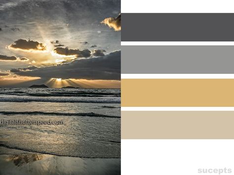 Grey Brown Gold Color Scheme, Grey Gold Colour Palette, Gold And Gray Color Palette, Grey And Gold Color Scheme, Black White Grey Gold Color Palette, Grey And Gold Color Palette, Grey Gold Color Palette, White Gold Bedroom, Gray Pallet