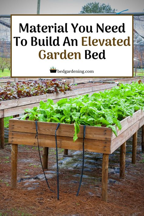 30 Minute Raised Beds, How To Build An Elevated Garden Bed, Raised Herb Beds Diy, Raised Garden Bed Dimensions, Raised Beds On A Hill, Raised Garden Bed On Legs Diy, Raised Garden Beds With Legs Diy, Off The Ground Garden Beds, How To Build A Raised Garden Bed Diy Planter Boxes