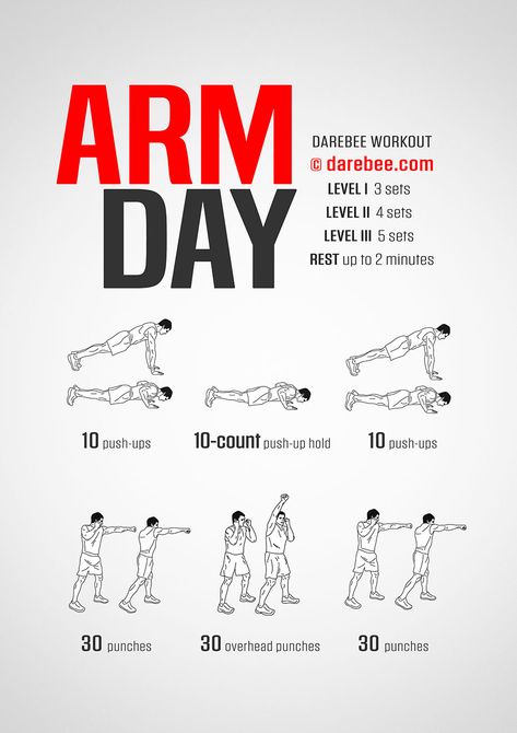 Intense Arm Workout, Arm Workout No Equipment, Arm Day Workout, Arm Workout For Beginners, Dumbbell Arm Workout, Hiit Workout Routine, Good Arm Workouts, Tone Arms Workout, Arm Workouts At Home