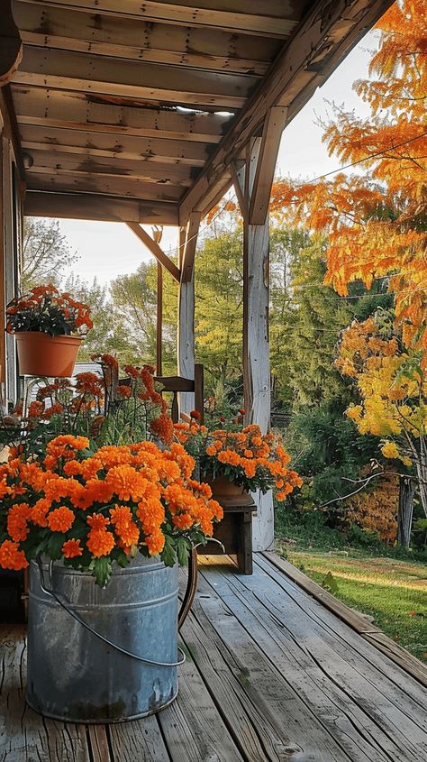 28 Fall Porch Decorating Ideas For Your Home Front Porch Cozy, Rustic Fall Porch, Fall Porch Decorating Ideas, Autumn Hygge, Country Porches, Fall Deck, Porch Decorating Ideas, Collage Inspiration, Autumn Magic