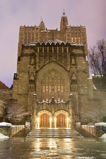 Yale University.....When I lived in New Haven, I would wander around by myself for hours. It never ceased to amaze me. New England States, Dream College, Dream School, Yale University, University Life, College Campus, University Campus, New Haven, Law School