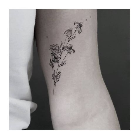 CHAMOMILE - for romy from the netherlands. as a symbol for calmness and self-confidence. April Daisy Tattoo, Bee And Daisy Tattoo, Foot Tattoo Ideas, Confidence Tattoo, Daisy Tattoos, Strawberry Tattoo, Flowers Daisies, Bouquet Tattoo, Wildflower Tattoo