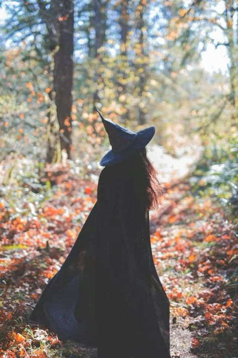 Animated Witch, Autumn Witch, Halloween Photography, Witch Magic, Modern Witch, Halloween Photoshoot, Season Of The Witch, Comic Style, Theme Halloween