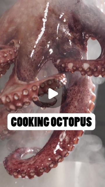 Massimo Capra on Instagram: "I will not bother telling you how to cook an octopus... #cheflife  #cheftalk  #chefstyle #italianchef #italianfood #culinary #recipe #recipetutorial" How To Cook Octopus Tender, Whole Octopus Recipes, Sauteed Octopus Recipe, Baby Octopus Recipe, Octopus Cooking, Thanksgiving Potluck Dishes, Octopus Dishes, Cooking Octopus, Octopus Food