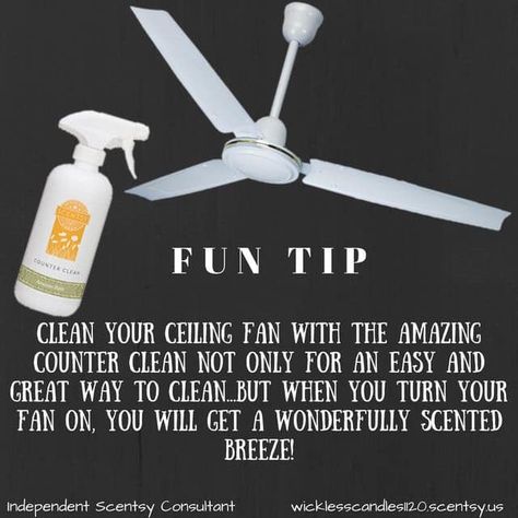 Scentsy Cleaning Products, Scentsy Hacks, Scentsy Pictures, Scentsy Consultant Business, Scentsy Games, Scentsy Facebook Party, Scentsy Marketing, Selling Scentsy, Scentsy Consultant Ideas