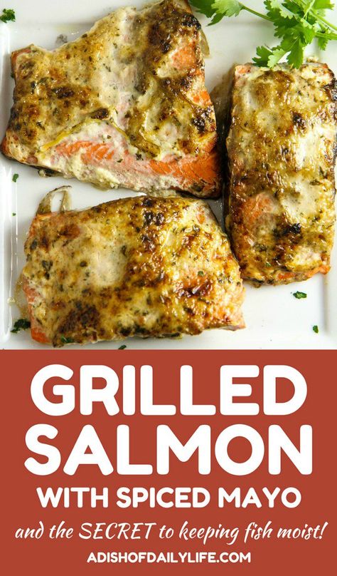 This Grilled Salmon with Spiced Mayo is an easy dinner recipe (just over 20 minutes)...great for busy weeknights and perfect for company as well! Plus I'm sharing the secret to keeping your fish moist! Salmon With Mayo, Mayo Salmon, Sharing The Secret, Grilled Fish Recipes, Grilled Salmon Recipes, Easy Salmon Recipes, Easy Dinner Recipe, Grilled Fish, Grilled Salmon