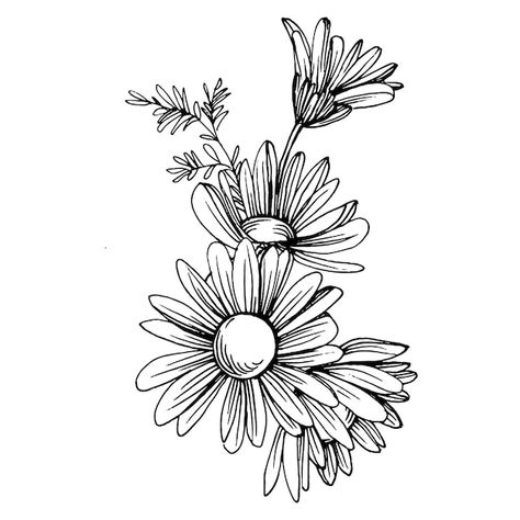 Drawing Daisy, Daisy Flower Drawing, Flor Tattoo, Dance Tattoo, Daffodil Tattoo, Line Art Style, Flower Line Drawings, Daisy Tattoo, Print Design Art