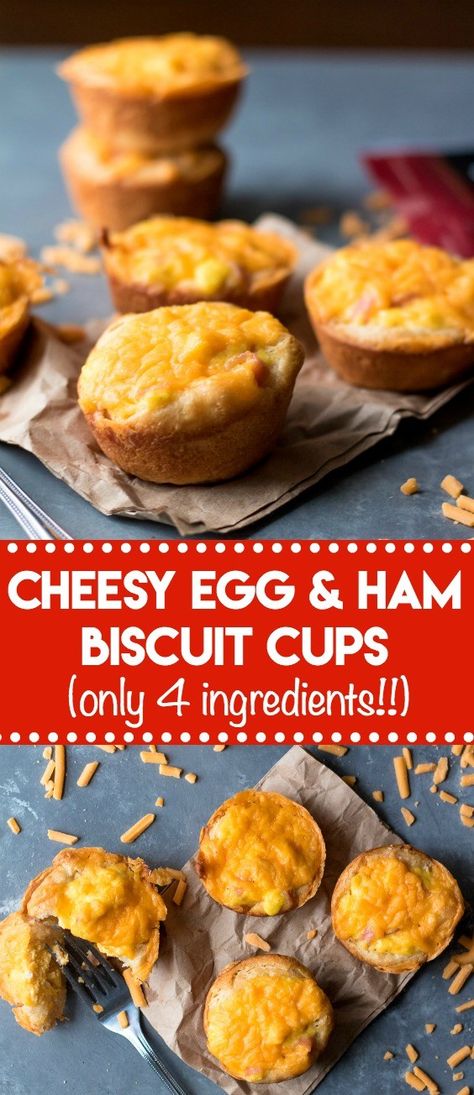 Grand Biscuit Recipes, Ham Biscuits, Egg Muffin Cups, Eggs In Muffin Tin, Biscuit Cups, Egg Biscuits, Breakfast Cupcakes, Ham Breakfast, Pillsbury Biscuits