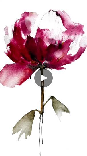 Paint Combos, Colour Flowers, Peonies Season, Watercolor Peony, Watercolor Flowers Tutorial, Watercolor Workshop, Flowers Tutorial, Watercolor Peonies, Loose Watercolor