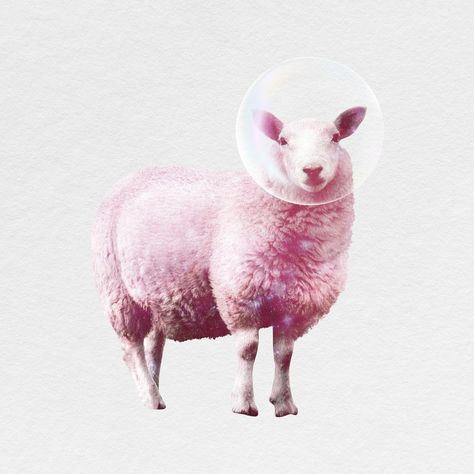 Pink sheep cut out, animal design psd | free image by rawpixel.com / Boom Sheep Illustration, Pink Sheep, Sheep Art, Animal Design, Free Image, Drawing Ideas, Free Images, Surrealism, Sheep