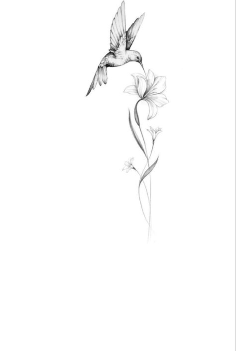 Humming Bird Spine Tattoo, Hummingbird With Orchid Tattoo, Hummingbird Tattoo With Script, Hummingbird Tattoo With Lilies, Hummingbird Tattoo Drawing, Hummingbird Bracelet Tattoo, Family Based Tattoos, Hummingbird And Orchid Tattoo, Hummingbird And Lily Tattoo