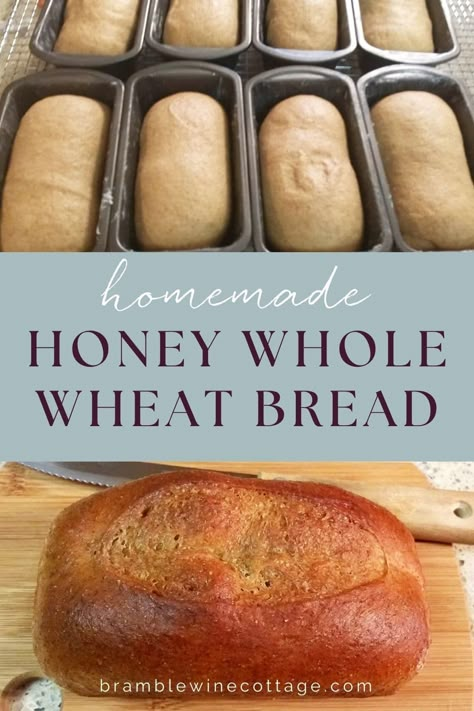 Honey Whole Wheat Bread, Blueberry Bread Pudding, Growing Wheat, Honey Wheat Bread, Perfect Sandwich, Wheat Bread Recipe, Homemade Breads, Honey Wheat, Blueberry Bread